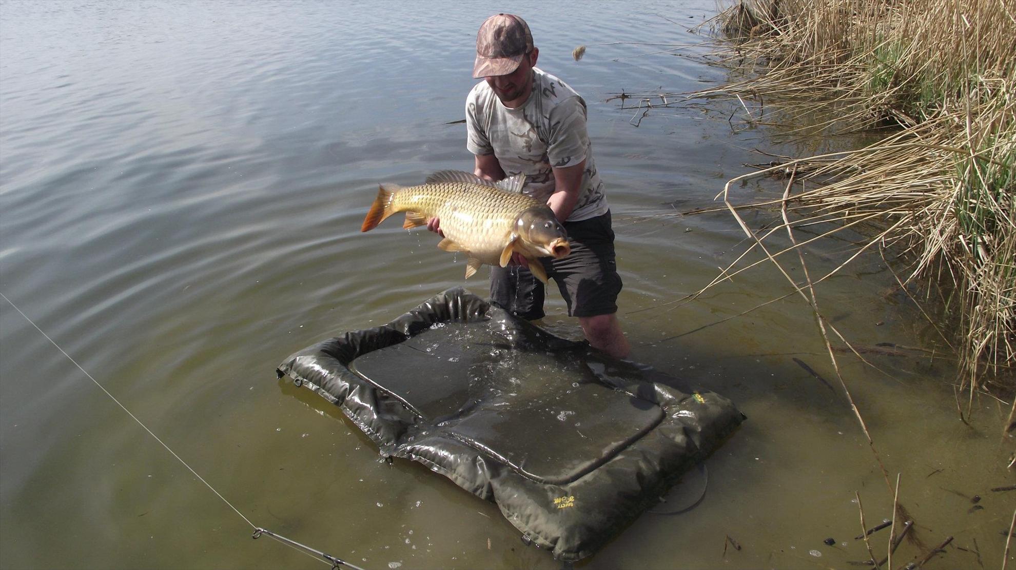 fsh - 469374414665331896025588997283o.jpg